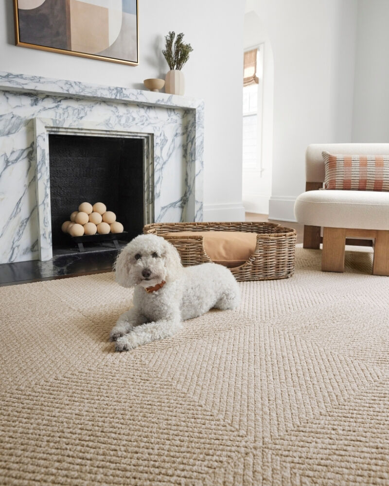 Why FLOR page, showing a lifestyle image of Connect The Dots shown in Flint/Pearl