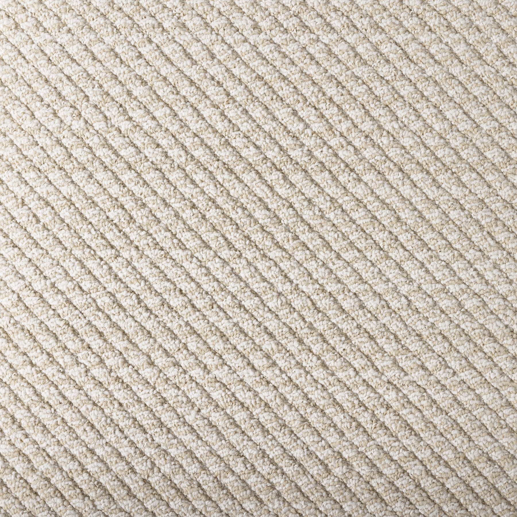 Hit The Road In Bone