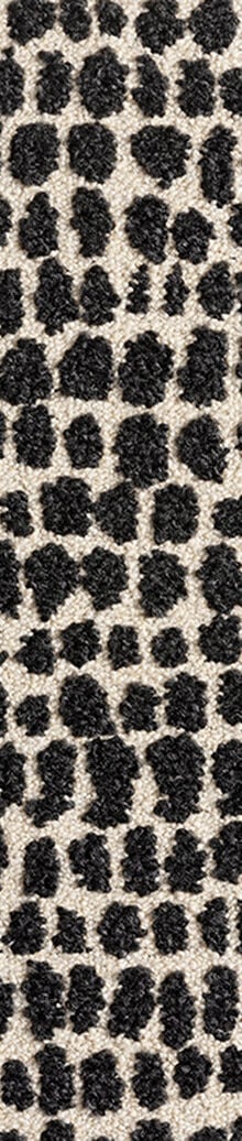 Connect The Dots shown in Flint/Pearl