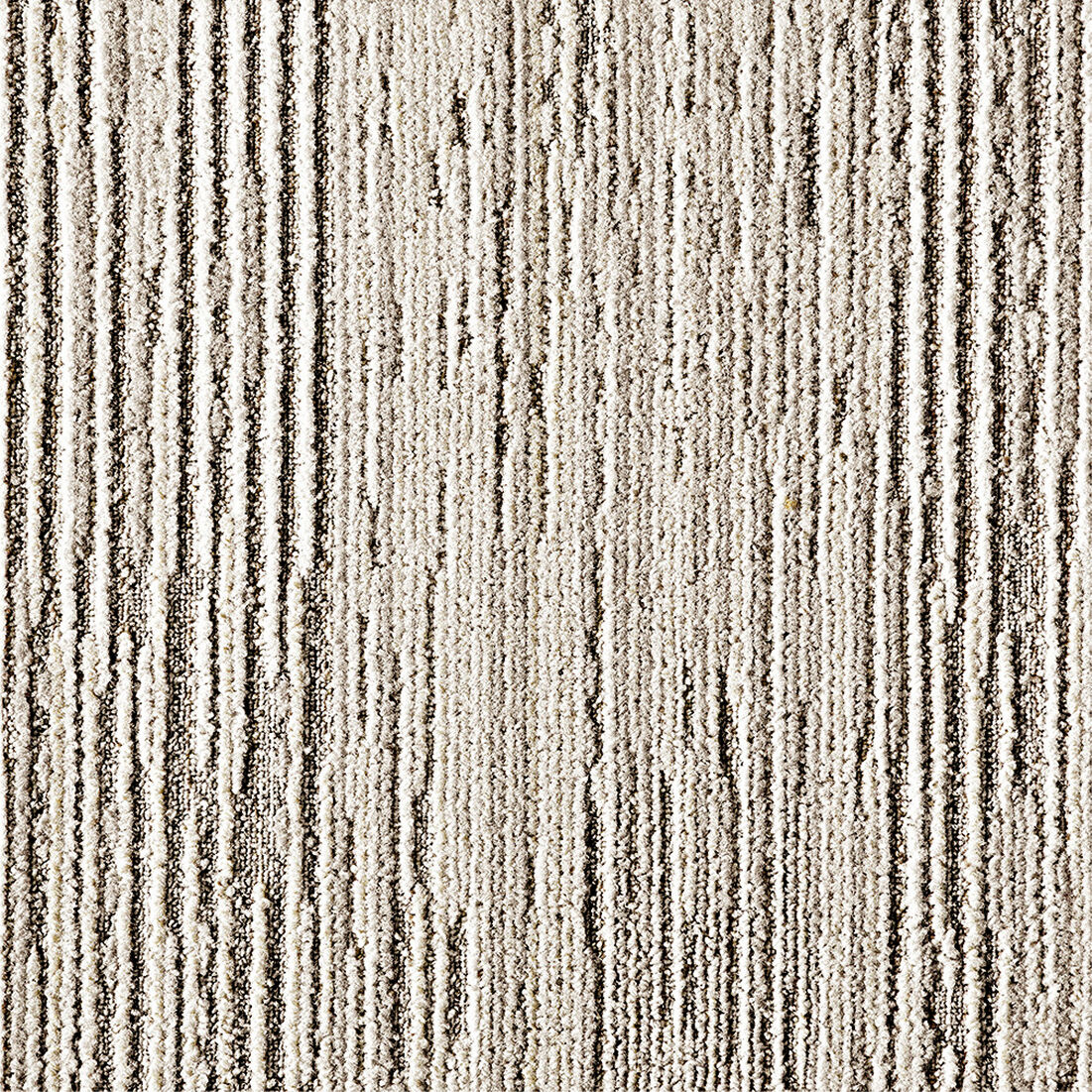 Fully Barked shown in Chalk
