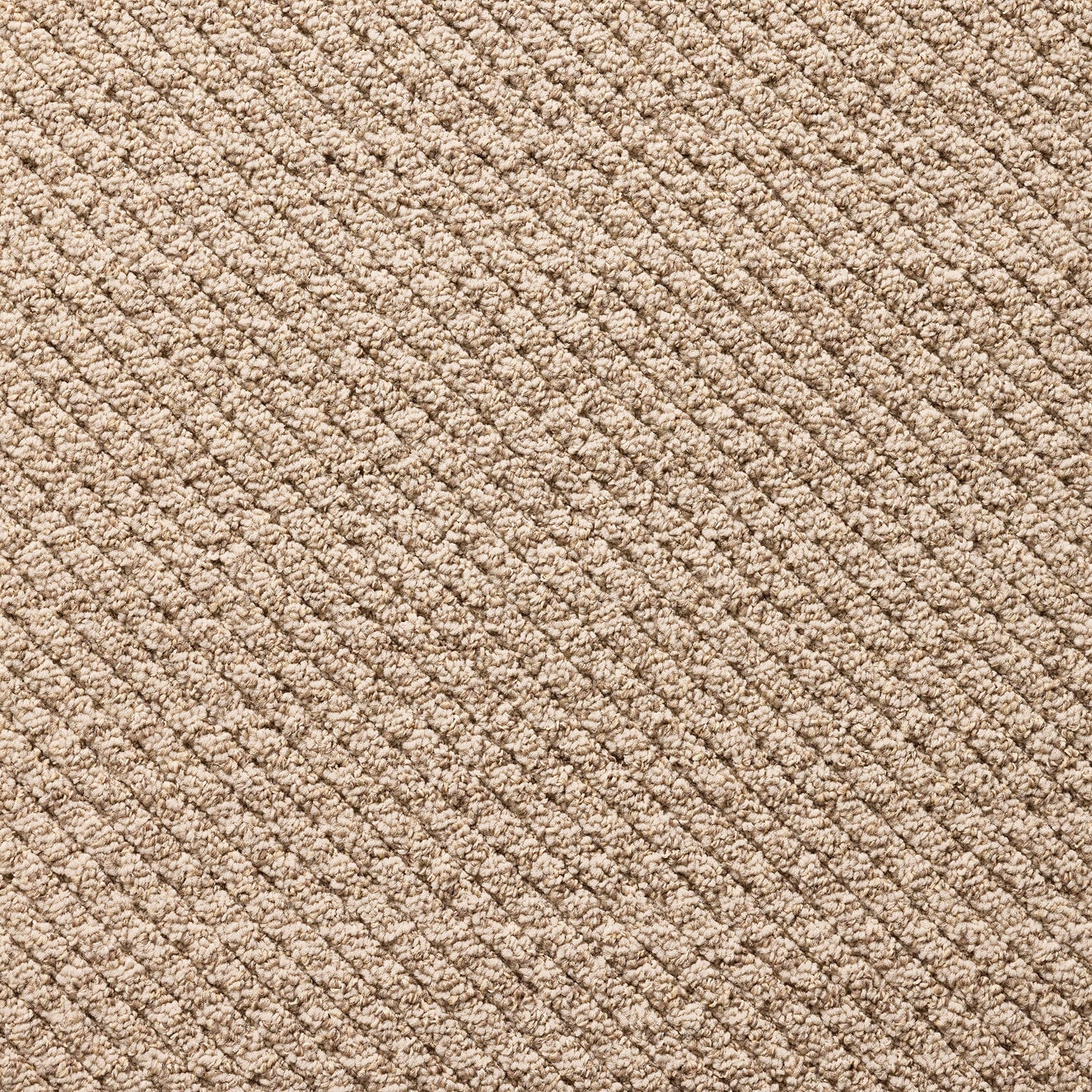 Roadside Attraction shown in Jute